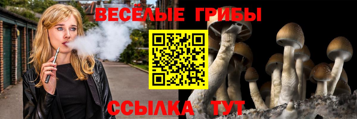 Псилоцибиновые грибы прущие грибы  Галлюциногенные грибы Psilocybe  Урюпинск  Вход с VPN 